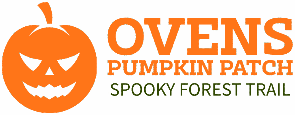 pumpkin patch cork